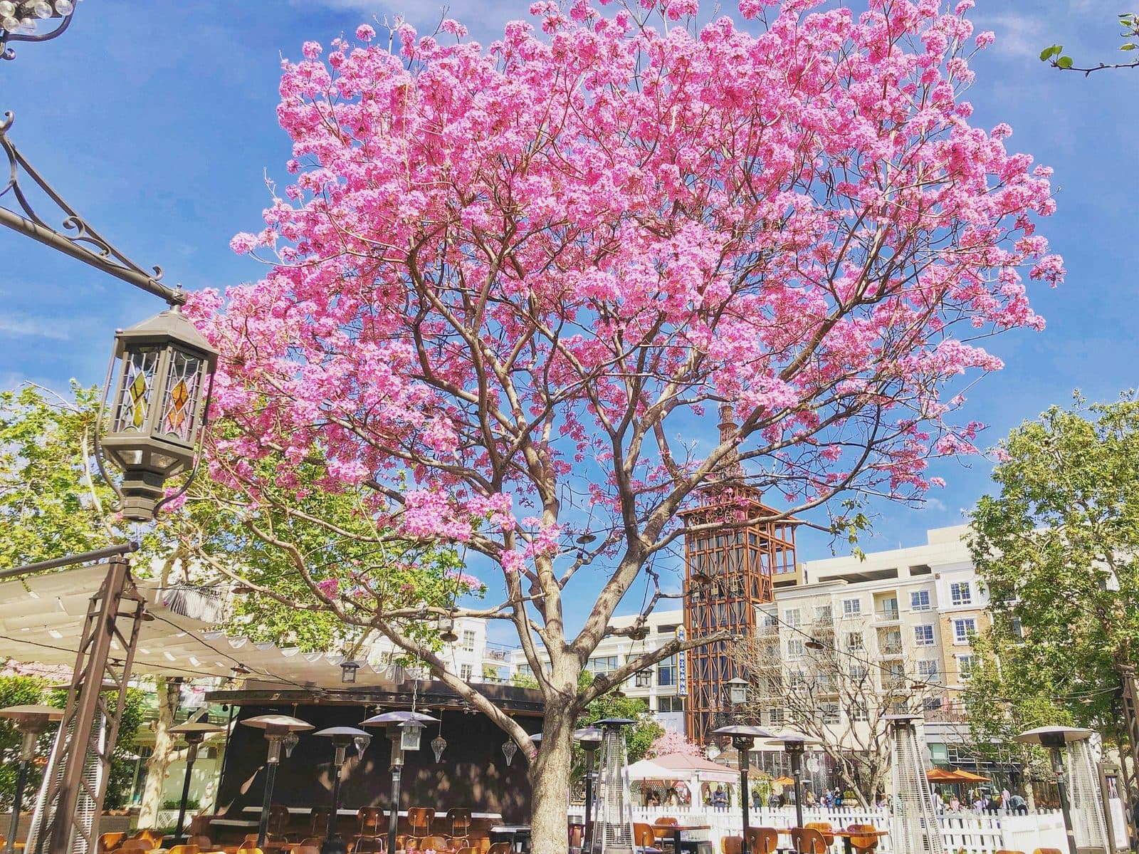 Glendale, California